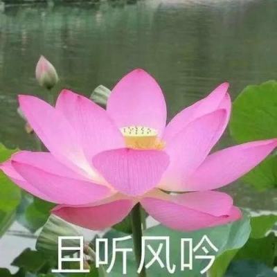 “结直肠肿瘤科普康复基地”在上海揭牌成立